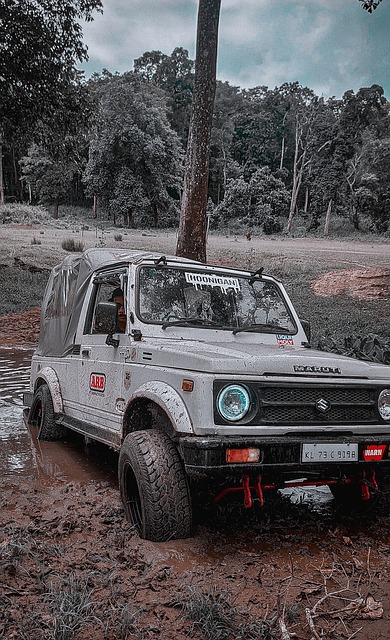 陈清晨、陈雨菲领衔出战 羽毛球亚团赛中国队名单公布央视体育.